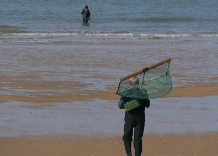 Mobil-home Cosy Avec Terrasse - 5 Personnes - Api-1-52-1041 אתר קמפינג